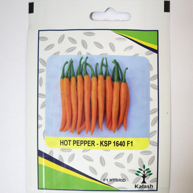 Hot Pepper Seeds / Hot Pepper F1 Hybrid Premium Quality Seeds - Greensouq -