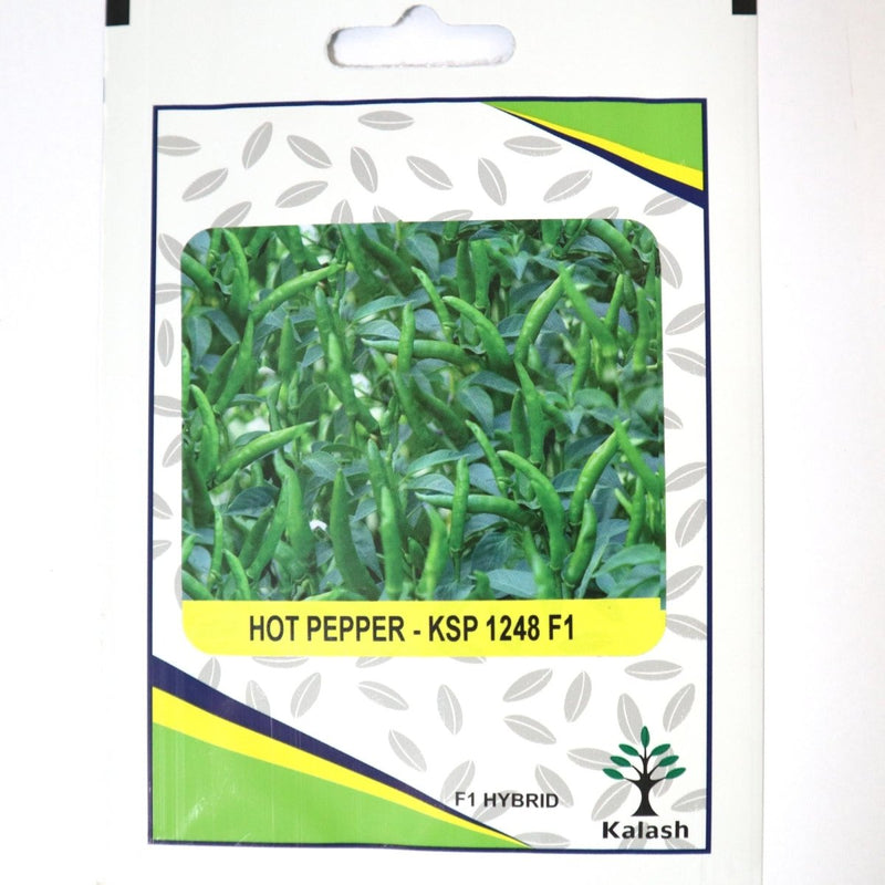 Hot Pepper KSP 1248 F1 Hybrid Premium Quality Seeds - Hot Pepper KSP Seeds / Greensouq -