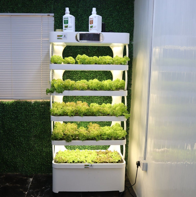 Hydroponics Pro Shelf with Automated Controls & Full Spectrum LED Grow Lights – Indoor Smart Growing System for Herbs | Vegetables & Flowers - Greensouq -