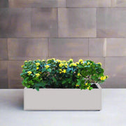 Ixora Coccinea in Rectangular Fiber Glass Planter (GRP) (100x30x30cm) - Greensouq -