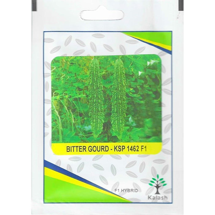 Kalash Bitter Gourd KSP 1462 F1 Hybrid Premium Quality Seeds - Greensouq -