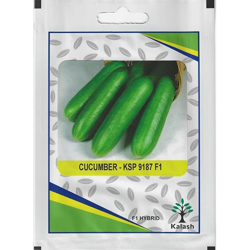 Kalash Cucumber KSP 9187 F1 Hybrid Premium Quality Seeds - Kalash Cucumber Seeds / Greensouq -