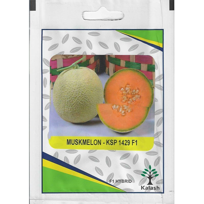 Kalash Muskmelon KSP 1429 F1 Hybrid Premium Quality Seeds - Muskmelon Seeds / Greensouq -