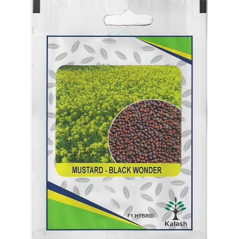 Kalash Mustard – Black Wonder F1 Hybrid Premium Quality Seeds - Mustard Seeds / Greensouq -