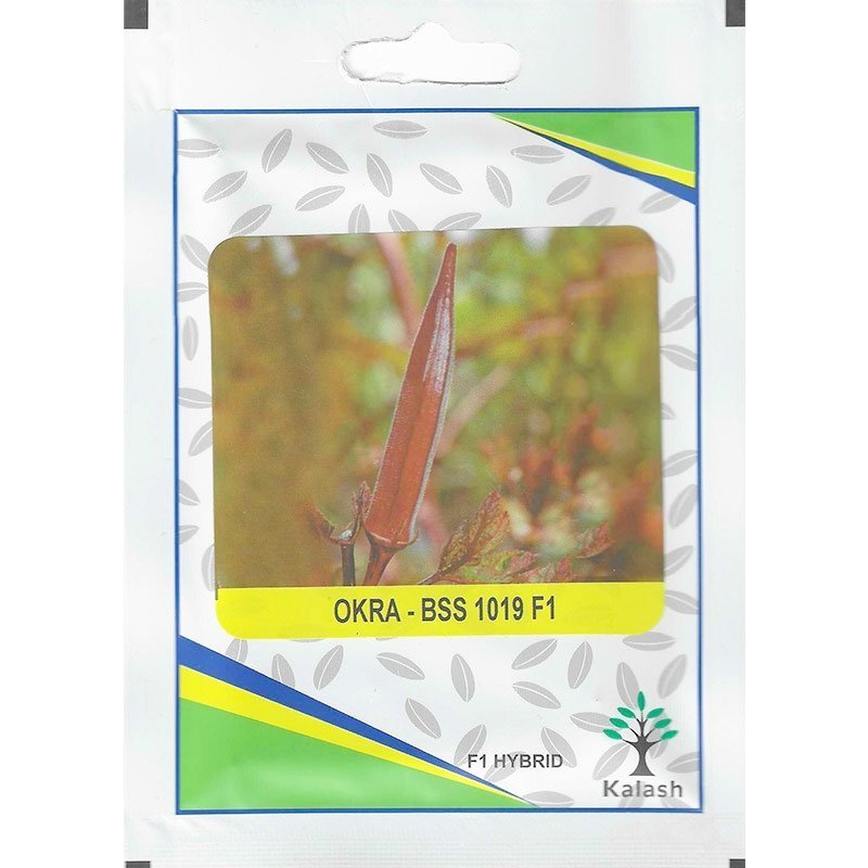 Okra Seeds / Kalash Okra BSS 9301 F1 Hybrid Premium Quality Seeds - Greensouq -