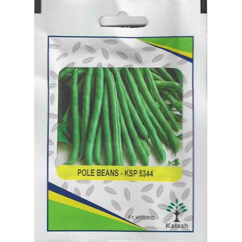 Kalash Pole Beans KSP 5344 F1 Hybrid Premium Quality Seeds - Beans Seeds / Greensouq -