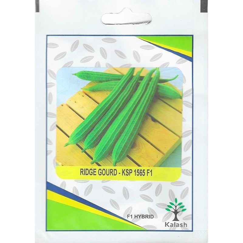 Kalash Ridge Gourd KSP 1565 F1 Hybrid Premium Quality Seeds - Gourd Seeds / Greensouq -