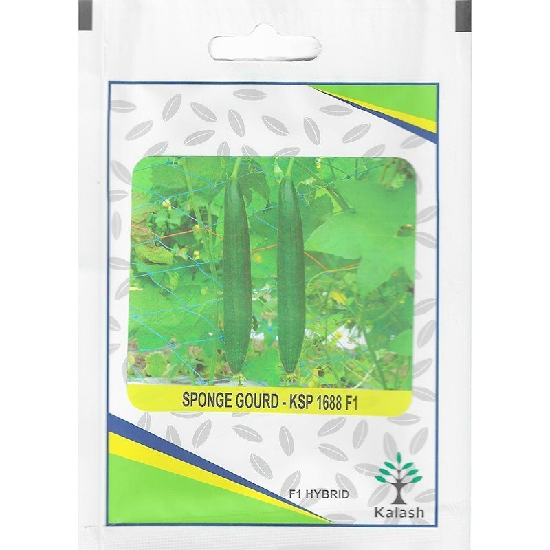 Kalash Sponge Gourd KSP 1688 F1 Hybrid Premium Quality Seeds - Sponge Gourd Seeds / Greensouq -