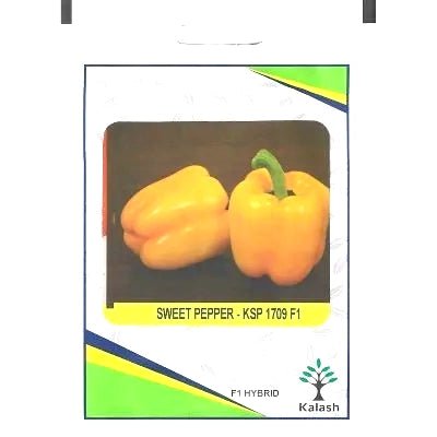 Kalash Sweet Pepper KSP 1709 F1 Hybrid Premium Quality Seeds - Sweet Pepper Seeds / Greensouq -