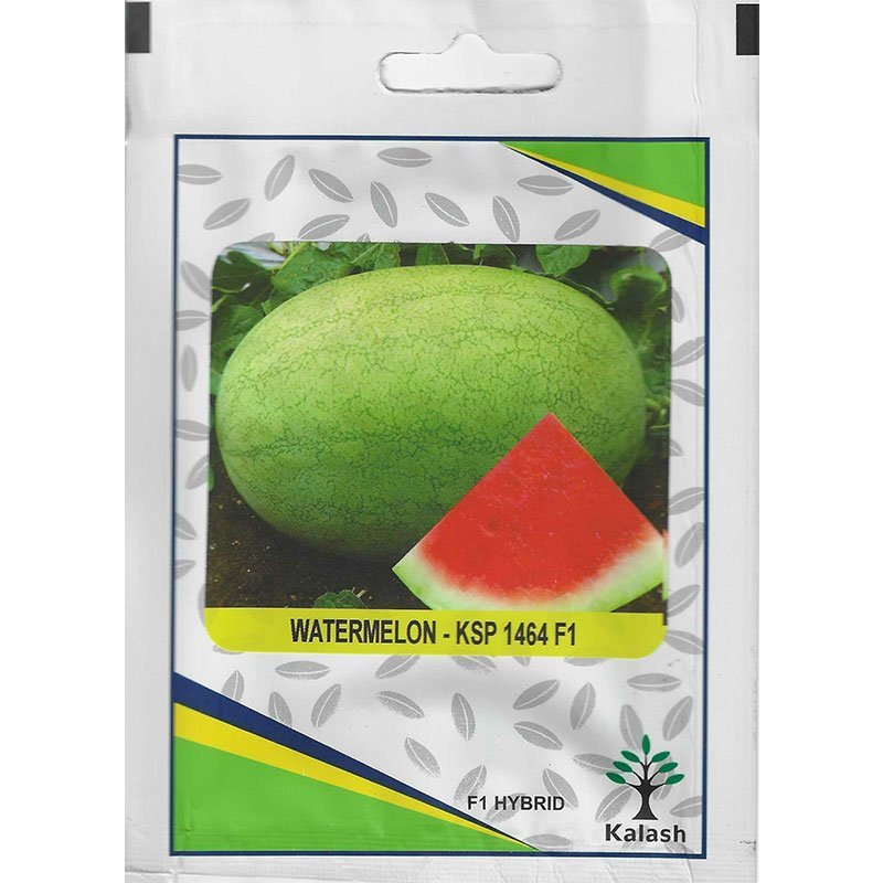 Kalash Watermelon KSP 1464 F1 Hybrid Premium Quality Seeds - Watermelon Seeds / Greensouq -