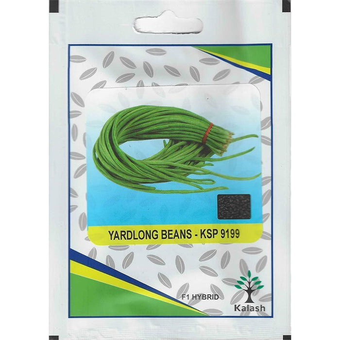 Kalash Yardlong Beans KSP 9199 F1 Hybrid Premium Quality Seeds - Greensouq -