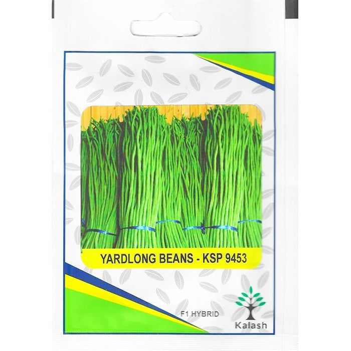 Kalash Yardlong Beans KSP 9453 F1 Hybrid Premium Quality Seeds - Greensouq -