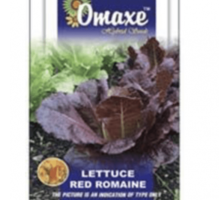 Lettuce Red Romaine Hybrid Seeds by Omaxe - Greensouq -