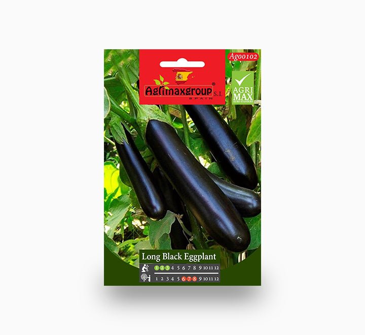 Long Black Eggplant Agrimax Seeds - Greensouq -