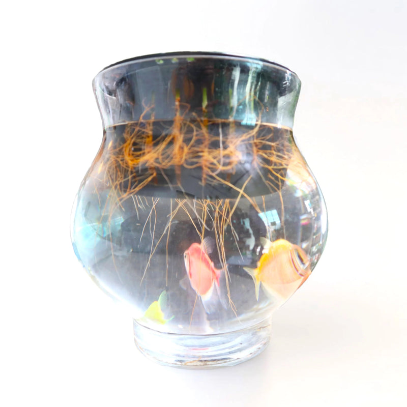 Lucky Bamboo Fish Bowl "70cm Height" - Greensouq -