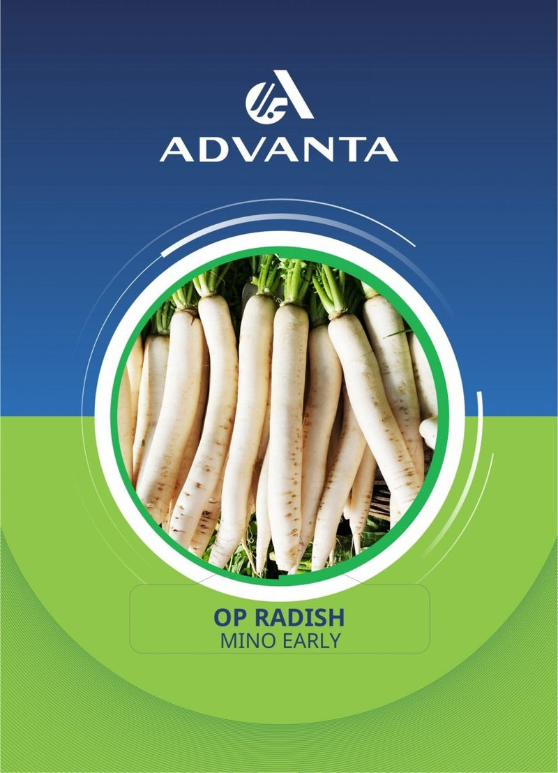 Mino Early OP Radish Seeds 5g - Greensouq -