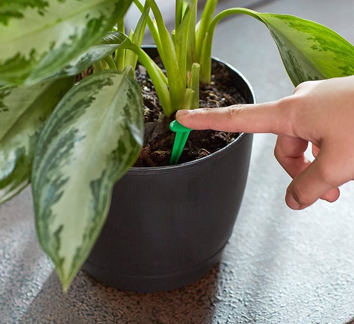 Miracle - Gro Indoor Plant Food - Greensouq -