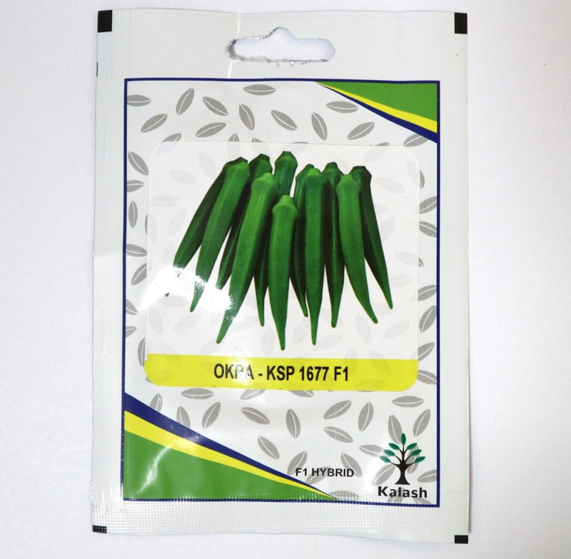 Okra KSP 1677 F1 Hybrid Premium Quality Seeds - Okra Hybrid Seeds / Greensouq -