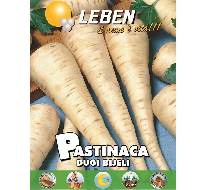 Parsnip Vegetable Seeds "Pastinaca Dugi Bijeli" by Leben - Greensouq -