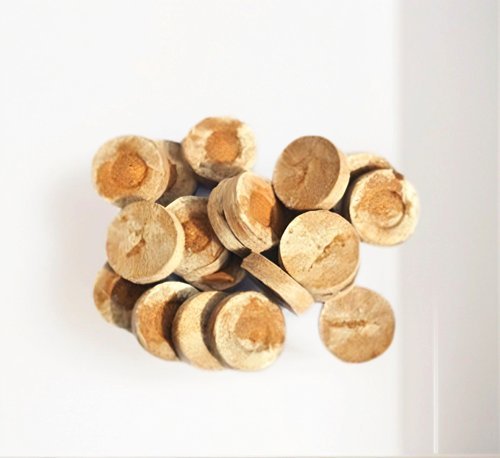 Peat Pellets or Peat Seeds Starters 3x3x1cm "Best way To Start Seeds" - Greensouq -