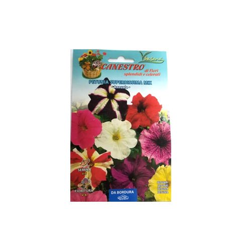 Petunia Superbissima Mix Seeds by CANESTRO - Greensouq -