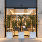 Phoenix Roebelenii / Pygmy Date Palm in white Grp Pot 40x40 - Greensouq -