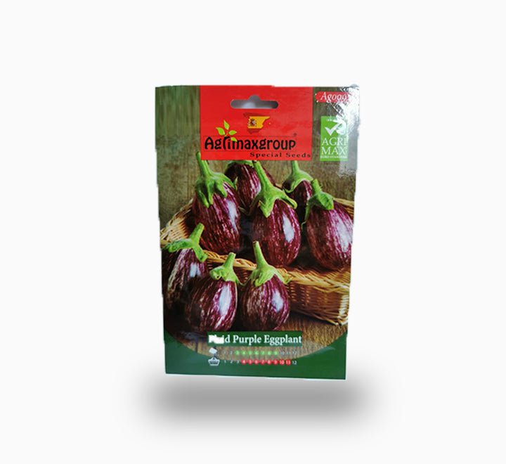 Plaid Purple Eggplant - Greensouq -