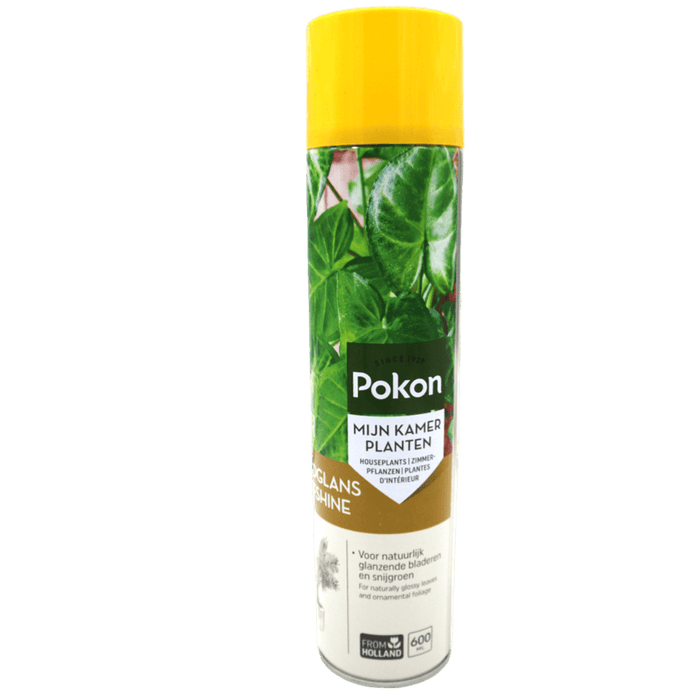 Pokon Leafshine Spray 600ml (Made in Holland) - Greensouq -