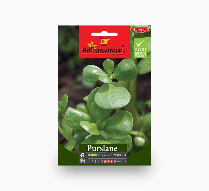 Purslane Agrimax Seeds - Greensouq -