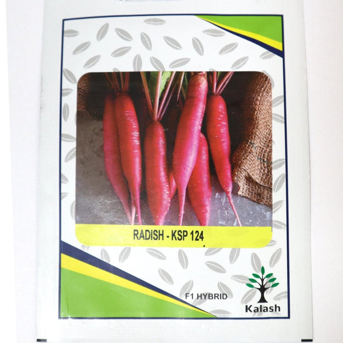 Radish KSP 124 F1 Hybrid Premium Quality Seeds - Greensouq -