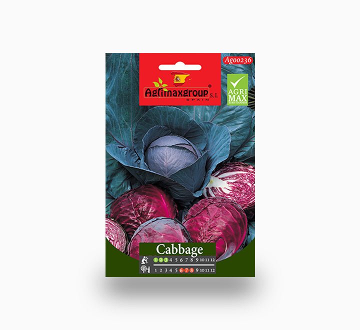 Red Cabbage Agrimax seeds - Greensouq -