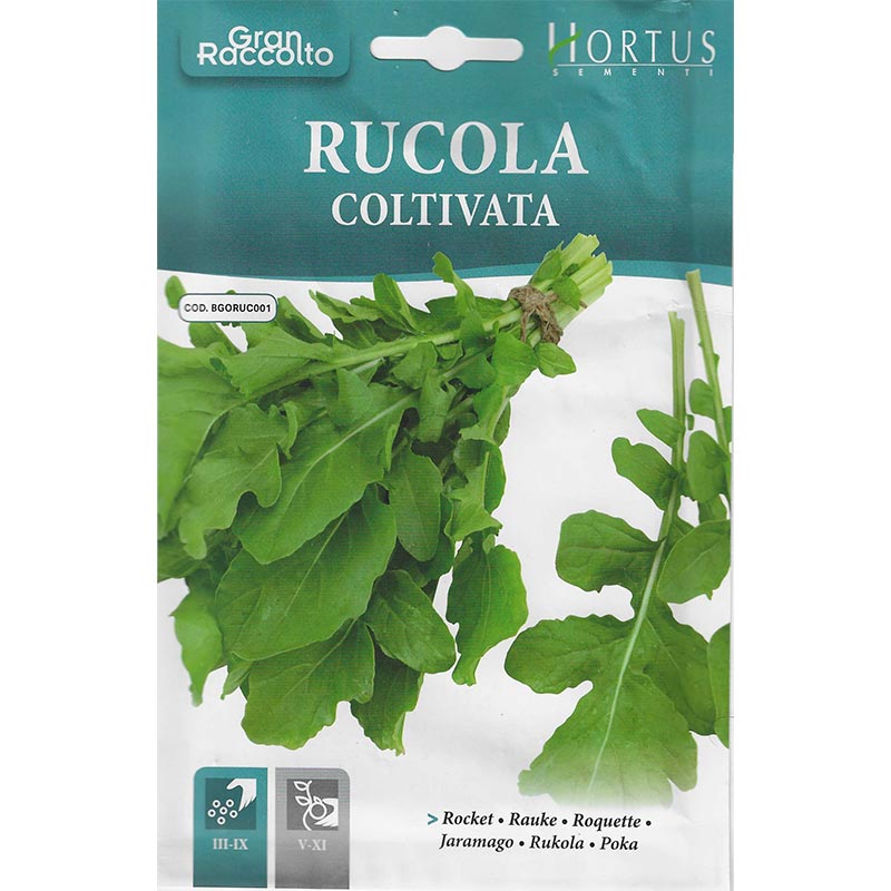 Rocket "Rucola Coltivata" Seeds by Hortus - Greensouq -