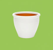 Rolled Rim Pot Outdoor Ceramic Pot, Trendy Outdoor Pot (Multi - colour) - Greensouq -