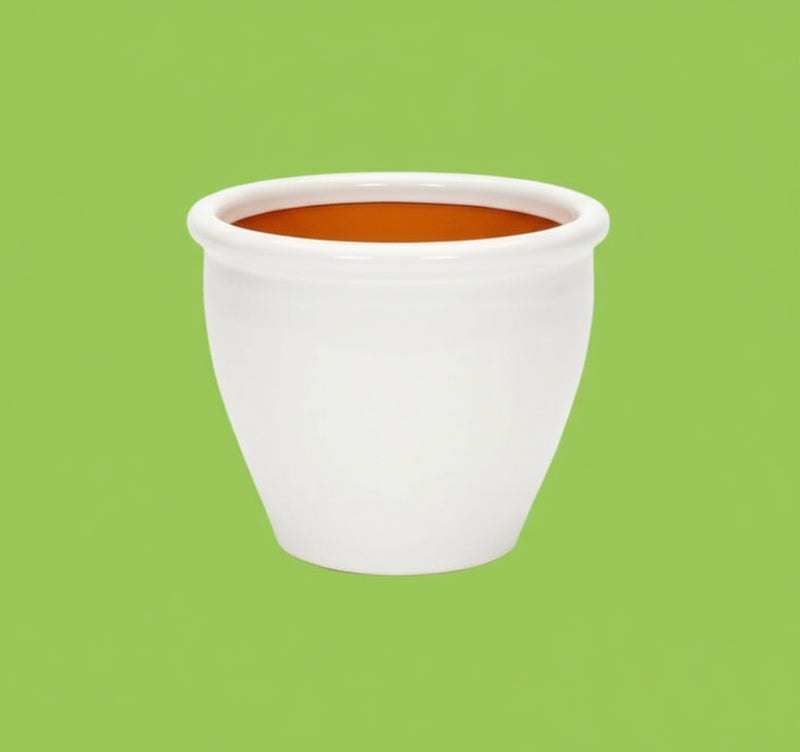 Rolled Rim Pot Outdoor Ceramic Pot, Trendy Outdoor Pot (Multi - colour) - Greensouq -