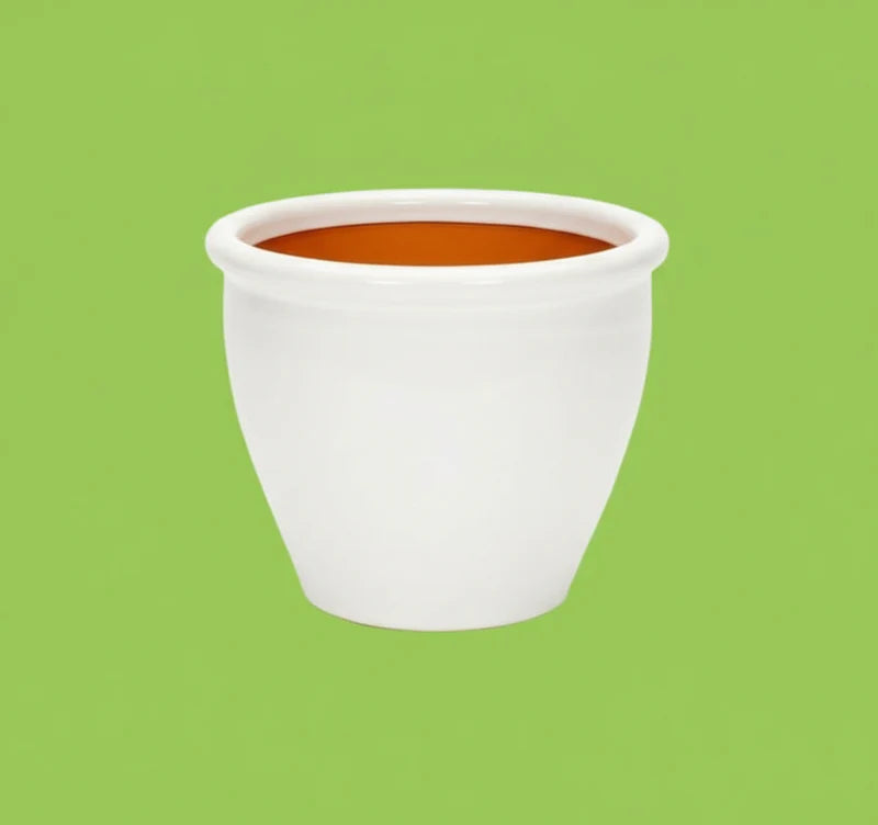 White Rolled Rim Pot