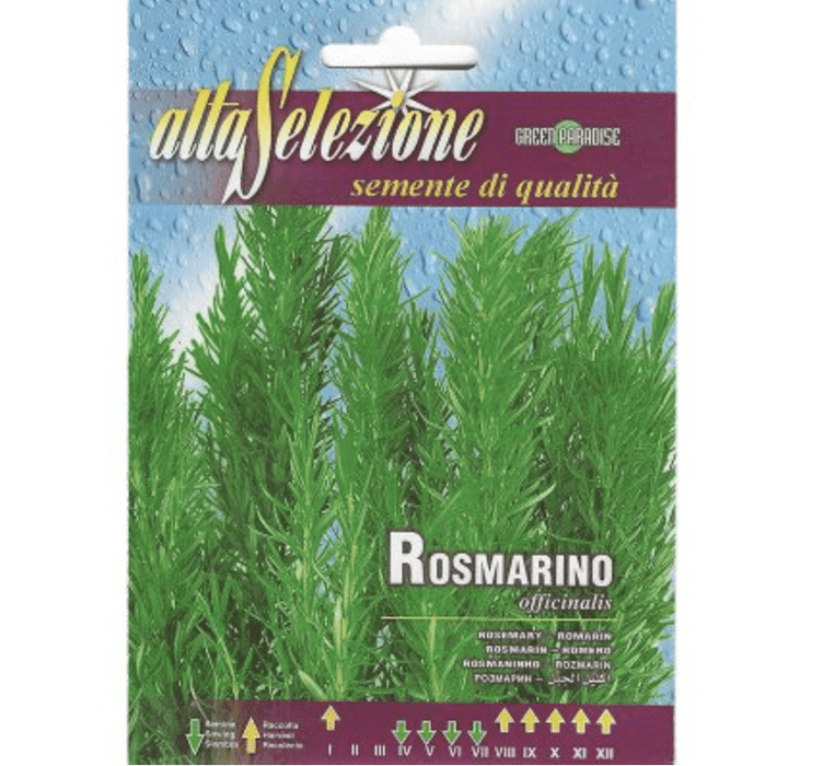 Rosemary "Rosmarino Officinalis" Seeds by Alta Selezione - Greensouq -