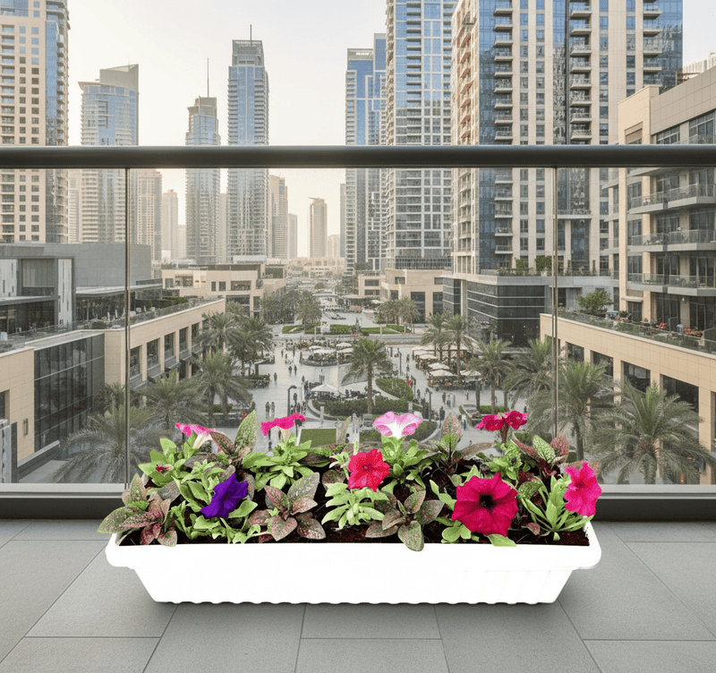 Seasonal Flowering Plants Mix in Cosmoplast White Pot 10 Ltr (49x21x16cm) 19" - Greensouq -