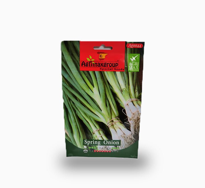 Spring Onion - Greensouq -
