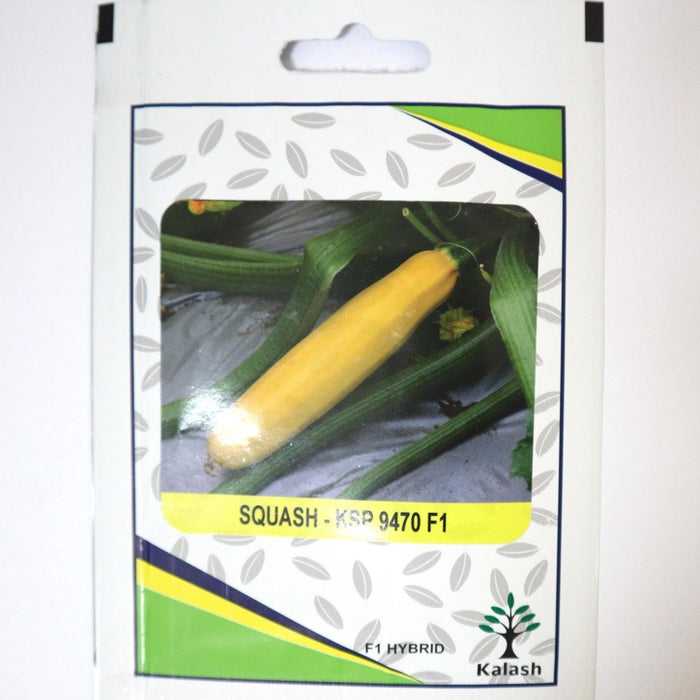 Squash KSP 9470 F1 Hybrid Premium Quality Seeds - Greensouq -