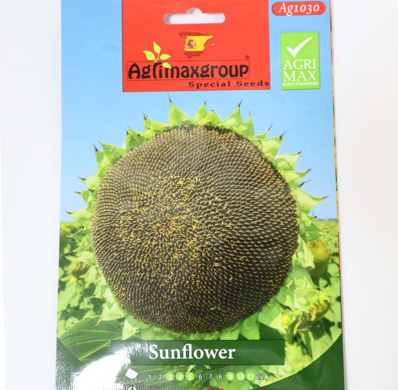 Sunflower Seeds Premium Quality by Agrimax - Greensouq -