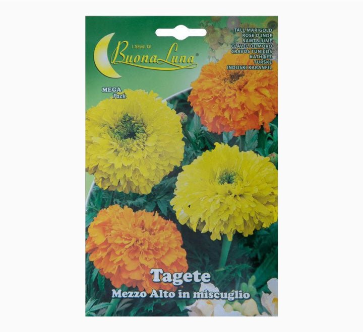 Tagete Mezzo Alto Mix Seeds - Greensouq -