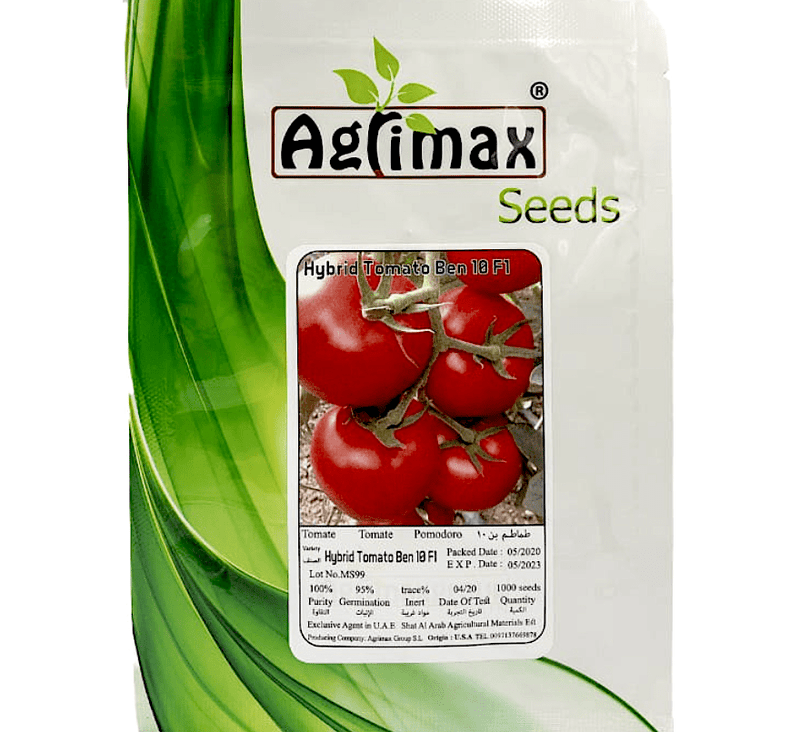 Tomato Hybrid Vegetable Seeds " Ben 10 F1 Hybrid" - Greensouq -