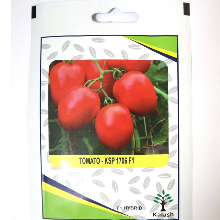 Tomato KSP 1706 F1 Hybrid Premium Quality Seeds - Greensouq -