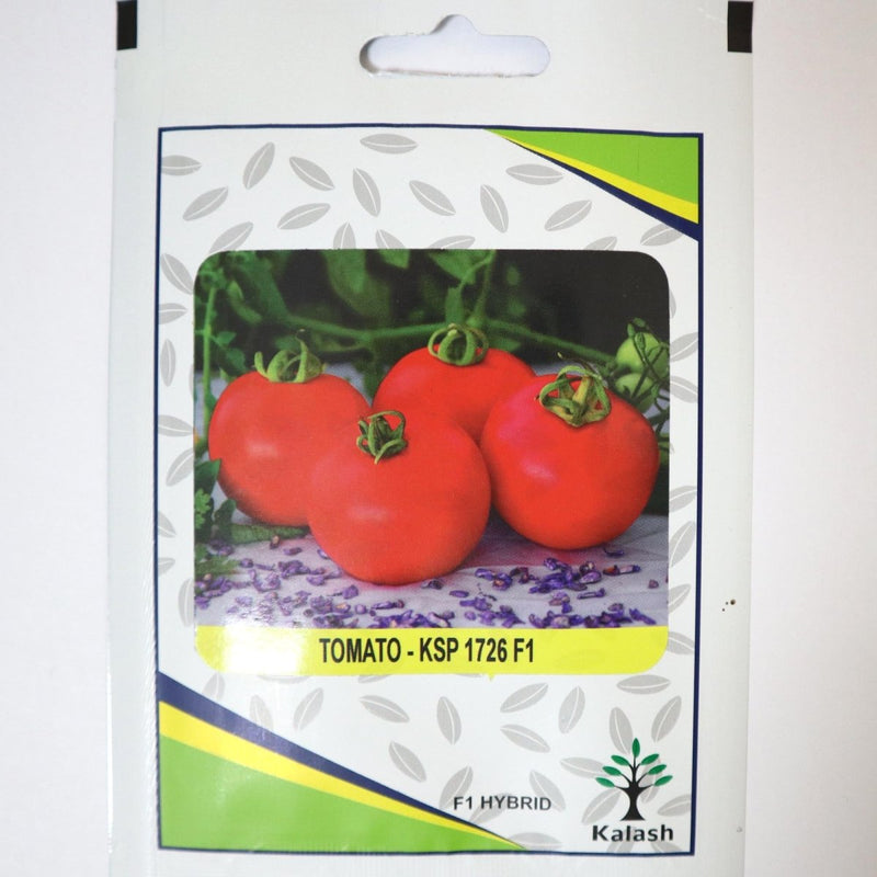 Tomato KSP 1726 F1 Hybrid Premium Quality Seeds -Tomato Seeds / Greensouq -