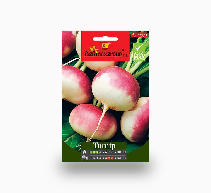 Turnip Agrimax seeds - Greensouq -