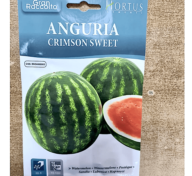 Watermelon Fruit Seeds "Anguria Crimson sweet" by Hortus - Greensouq -