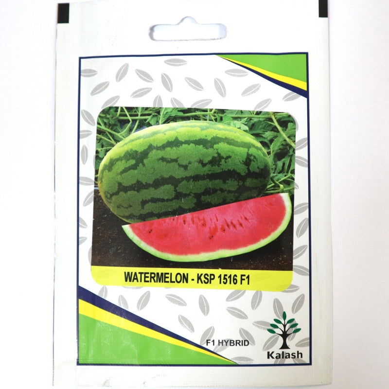 Watermelon - KSP 1516 F1 Hybrid Premium Quality Seeds - Watermelon KSP Seeds / Greensouq -