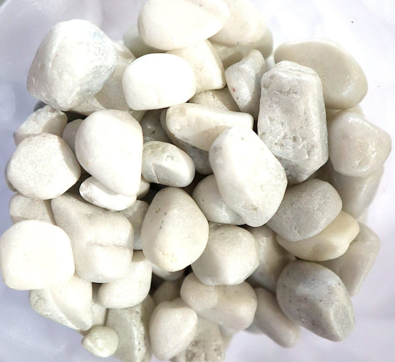 White Colour Decorative Painted Pebbles "Aquarium" 10 - 15mm - Greensouq -