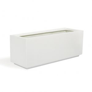 Croton Banana Trio in Rectangular Fiber Glass Planter (70x30x30cm)