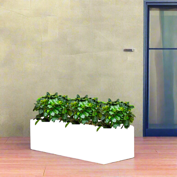 Gardenia Trio in Rectangular Fiber Glass Planter (GRP) (90x30x30cm)
